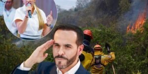 Brigadistas que intentan apagar incendios en Tolima están siendo amenazados: “quien debe apagarlo es el Tigre”