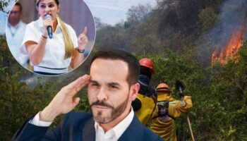 Brigadistas que intentan apagar incendios en Tolima están siendo amenazados: “quien debe apagarlo es el Tigre”