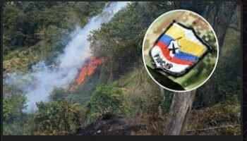 La estrategia oscura de las disidencias con los incendios: ¿Qué hay detrás?