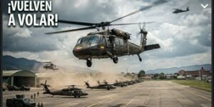 Vuelven a volar!