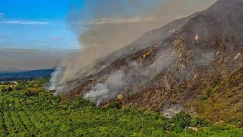 - crédito Cortolima Corporación Autónoma / Facebook