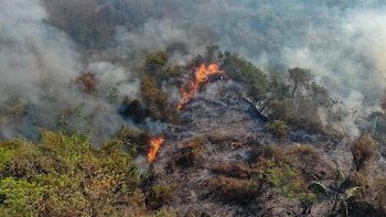 - crédito Cortolima Corporación Autónoma / Facebook