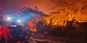 Gobierno declara calamidad pública por incendios en Tolima