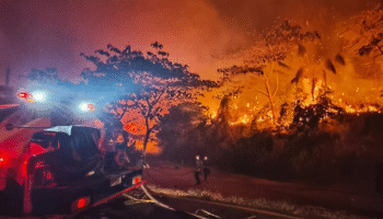 Gobierno declara calamidad pública por incendios en Tolima
