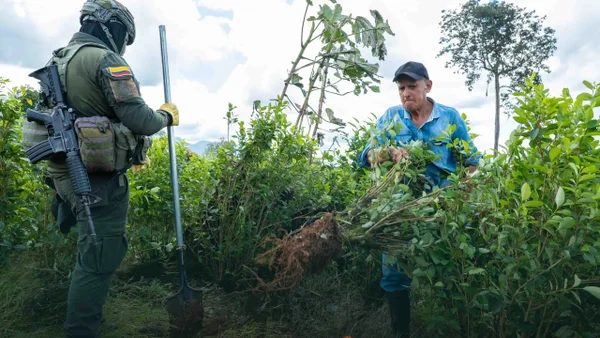 Alarmante: cocaína ya supera al petróleo y equivale al 4,4% del PIB colombiano