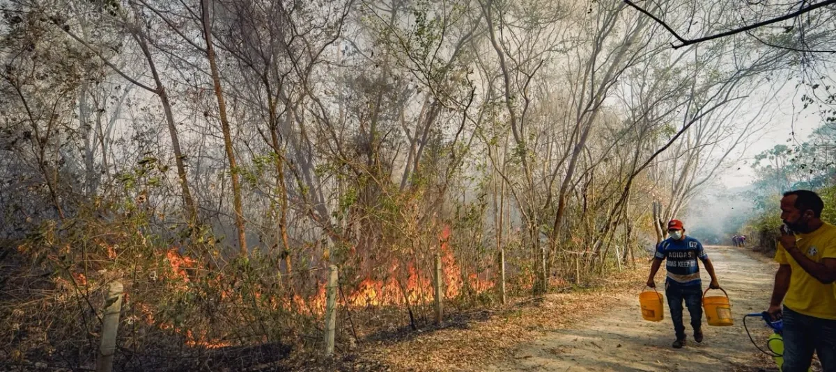 Incendios en el Tolima.