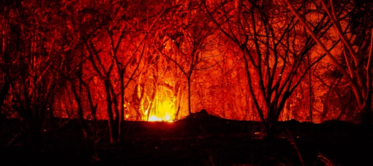Incendios forestales en Tolima