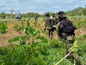 La captura de alias Julián se realizó en Verruguitas, corregimiento de El Carmen de Bolívar, durante un allanamiento y registro - crédito Armada de Colombia