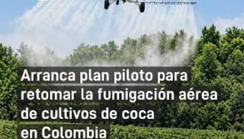 Aspersión aérea de cultivos de coca