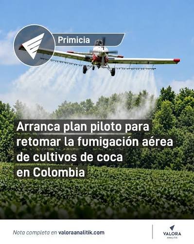 Aspersión aérea de cultivos de coca