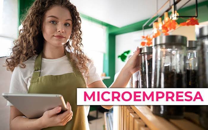 "Una microempresa tiene las mismas obligaciones tributarias que una gran empresa y eso no puede ser"