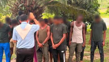 La presión militar da frutos: 26 miembros de grupos guerrilleros se desmovilizaron en el Pacífico nariñense