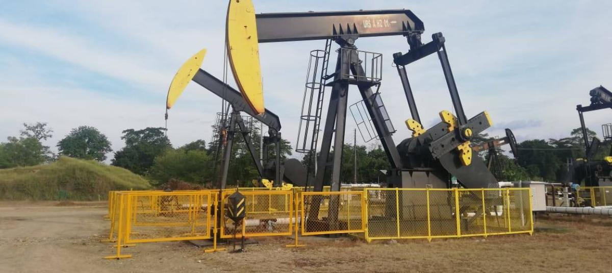Petróleo
