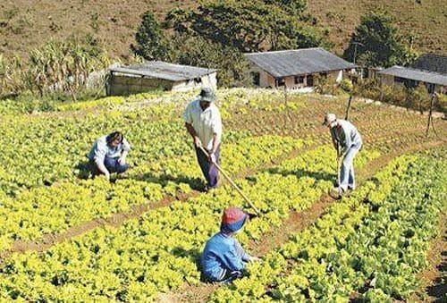 El campo colombiano no necesita promesas