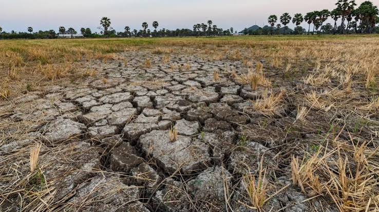 "El agro pide medidas urgentes ante un posible El Niño hasta septiembre de 2027"